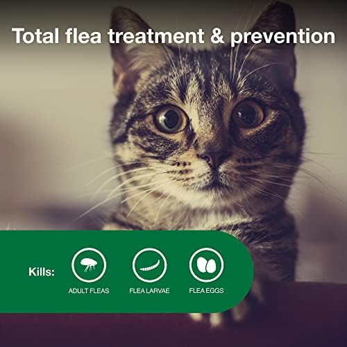 יתרון השני וטרינר חתול קטן-טיפול פשפשים מומלץ & מגבר; מניעה | חתולים 5-9 קילו. / 1-חודש אספקת